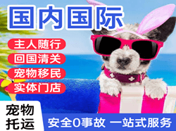 喀什徕宁机场快递国际宠物托运 【国